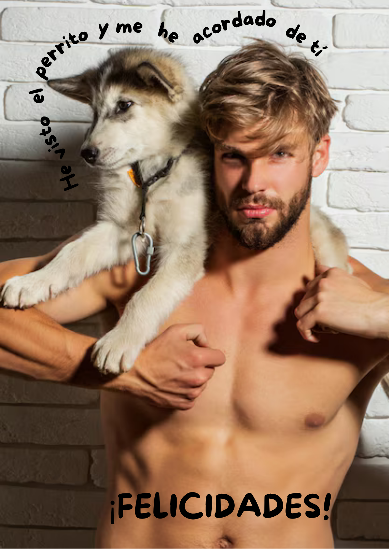 Vi el perrito y me acordé de tí